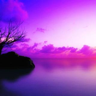 Purple sunset wallpaper