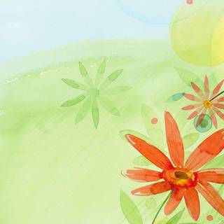 Humming bird wallpaper