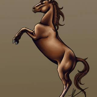 Horse image download