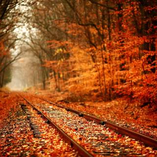Fall background pictures