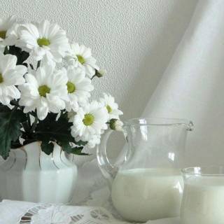 Morning image download