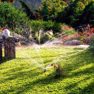 New nature wallpaper HD