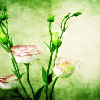 Cool wallpaper for desktop