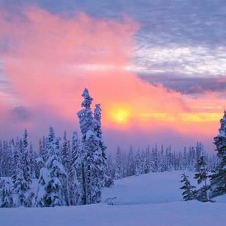 Winter sunset wallpaper