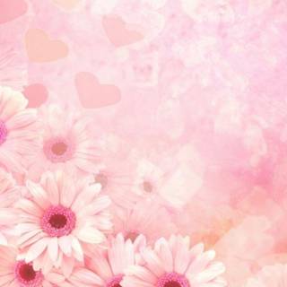 Pictures of pink wallpaper