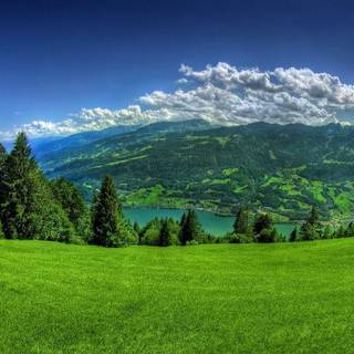 Nature background images