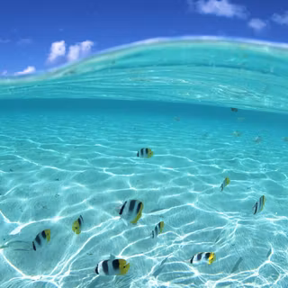 Hawaii wallpaper free