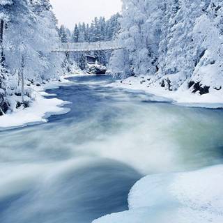 Winter scenery pictures