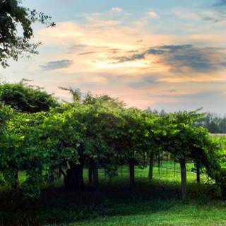 Desktop wallpaper 1366x768