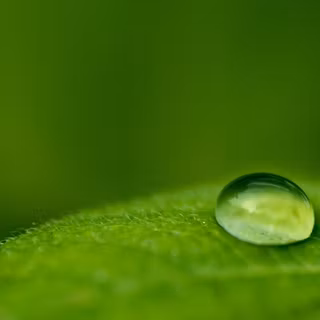 Background nature pictures