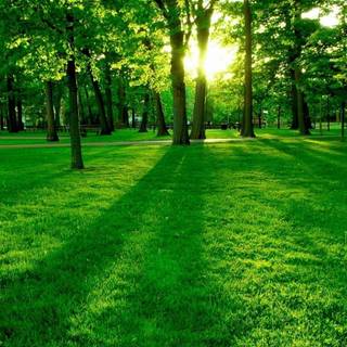 Free 1080p wallpaper