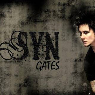 Synyster 2015 HD wallpaper