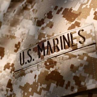 Marine backgrounds