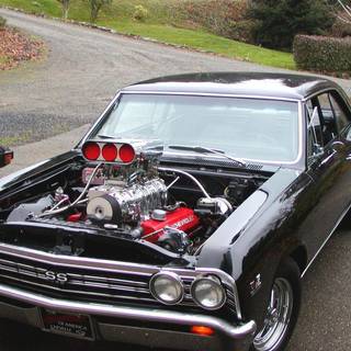 Chevelle pics