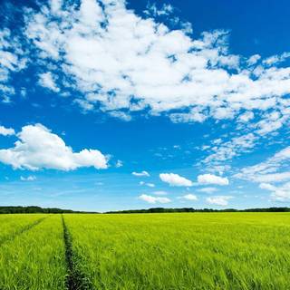 Laptop background images