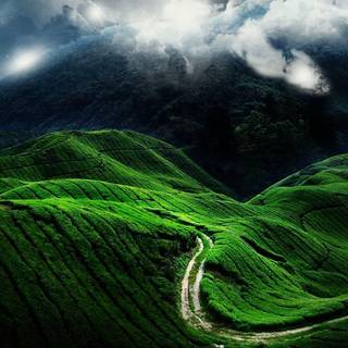 Green hills wallpaper