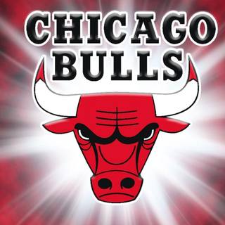Chicago Bulls logo wallpaper