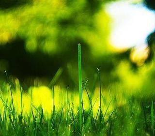 4K resolution wallpaper