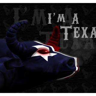 Houston Texans wallpaper