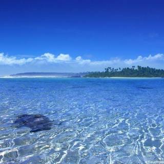 Free wallpaper for computer screen