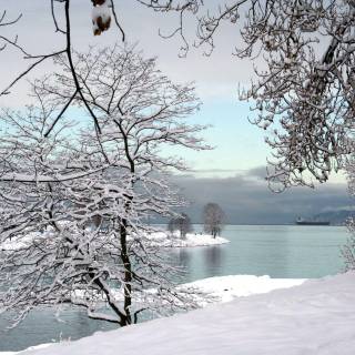 Snowy scenes wallpaper