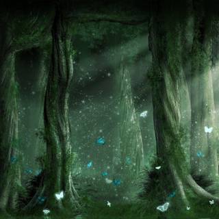 Dark forest background