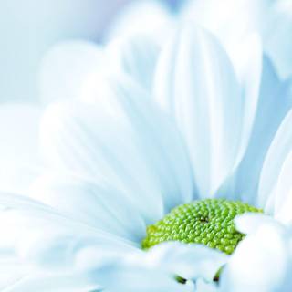 Spring wallpaper pictures