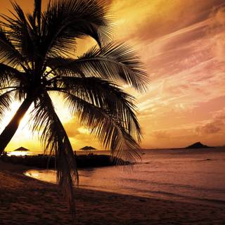 Beach sunset background