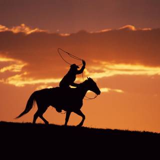 Rodeo wallpaper