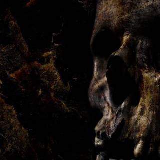 Dark skull wallpaper