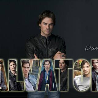 Damon salvatore wallpaper