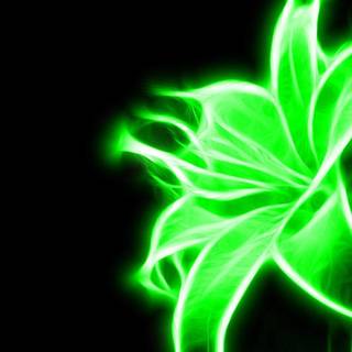 Pretty neon wallpaper