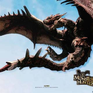 Monster hunter tri wallpaper