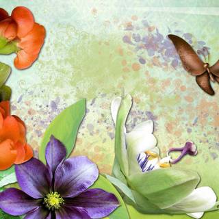 Nature beauty wallpaper