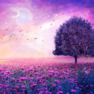 Purple flowers wallpaper