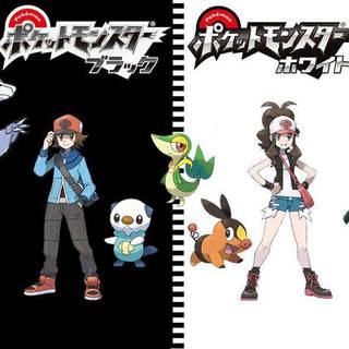 Pokemon white wallpaper