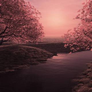 Landscape desktop wallpaper