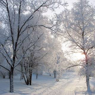 Winter background pics