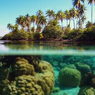 High definition 3D wallpaper desktop