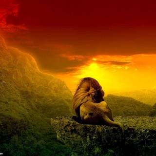 Rastafarian wallpaper