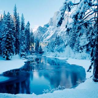 Winter scenery wallpaper