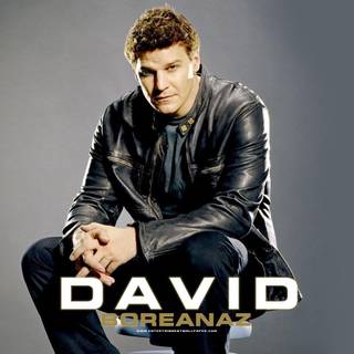 David boreanaz wallpaper