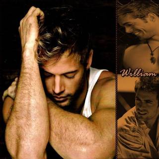 William Levy wallpaper