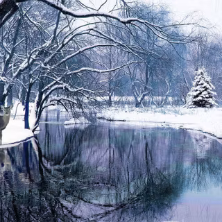 Winter background scenes