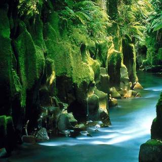 Landscapes wallpaper