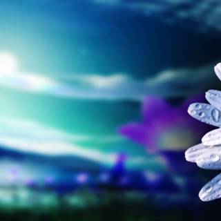 Latest wallpaper for desktop