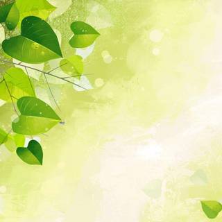 Flower wallpaper background