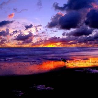 Background for computer desktop