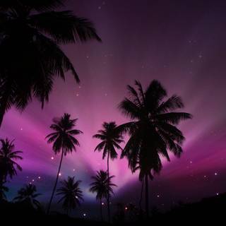 Purple tree wallpaper