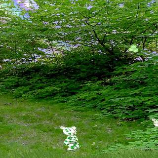 Shamrock screensavers